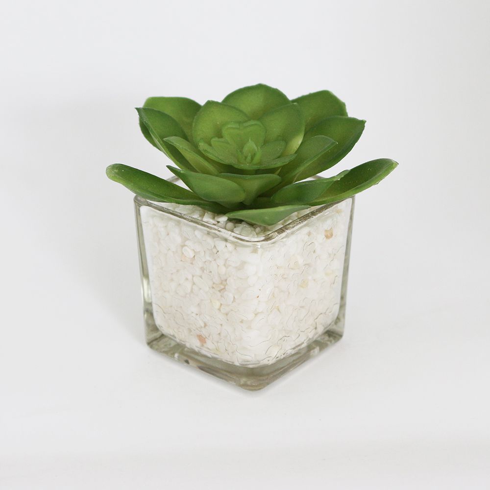 Planta artificial plástico vaso vidro 