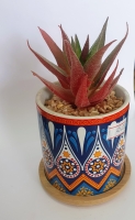 Vaso com planta decorativa