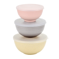 Kit 3 Bowls bambu PP